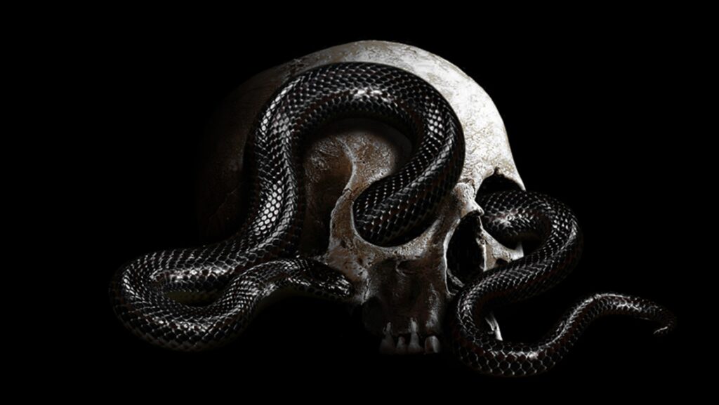 Serpent mort