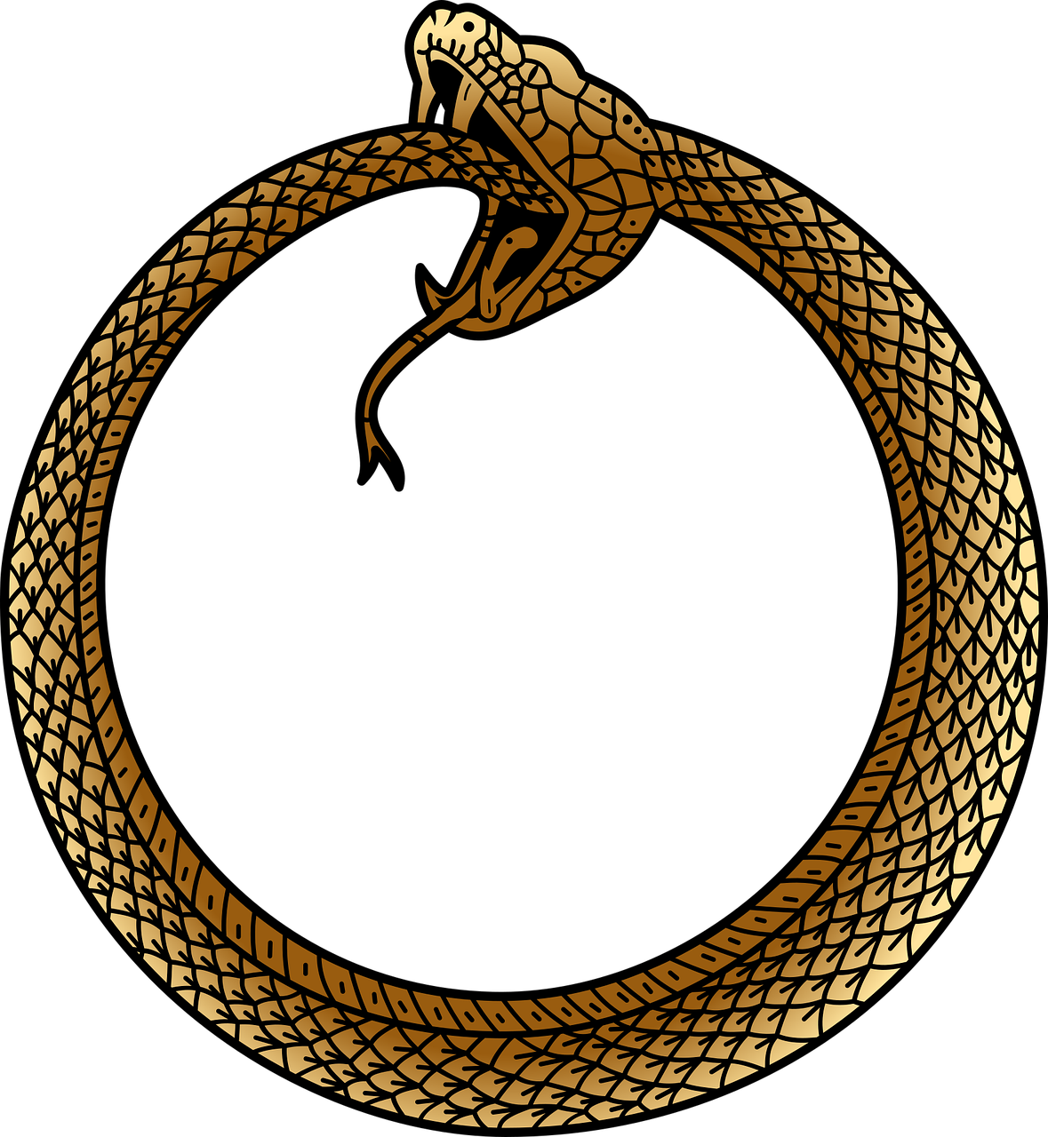 le-serpent-qui-se-mord-la-queue-ouroboros-serpentes